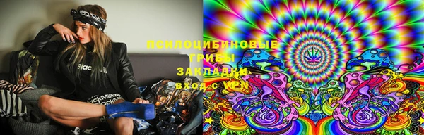 прущая мука Арсеньев