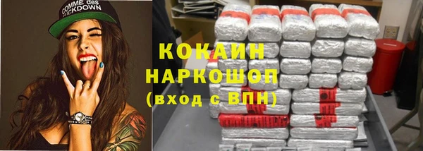 гашик Аркадак