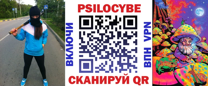 Псилоцибиновые грибы Cubensis  Сосновый Бор 