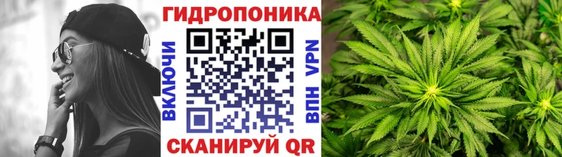 Бошки Шишки планчик  Сосновый Бор 